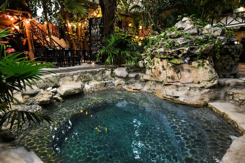 Hostal Mx 5th Avenue