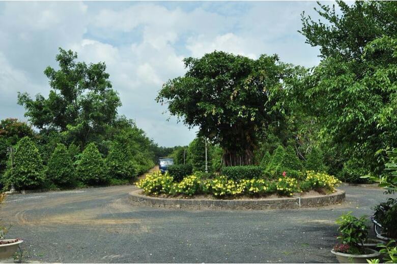Hotel Long Chau Resort