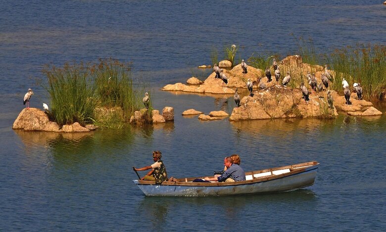 Hotel Pugdundee Safaris - Ken River Lodge