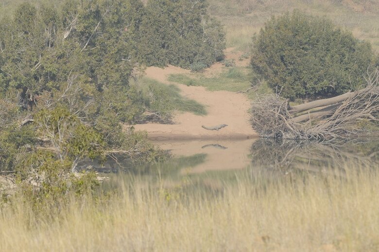 Hotel Pugdundee Safaris - Ken River Lodge