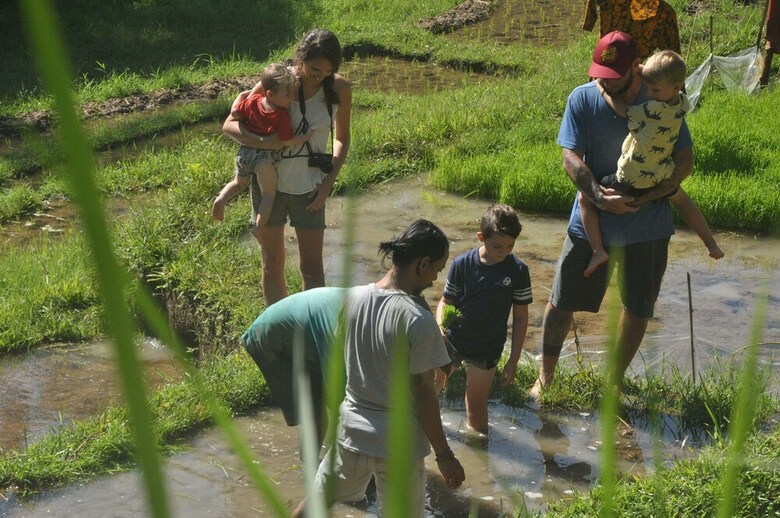 Hotel Tepi Sawah Lodge
