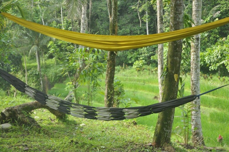 Hotel Tepi Sawah Lodge