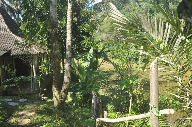 Hotel Tepi Sawah Lodge