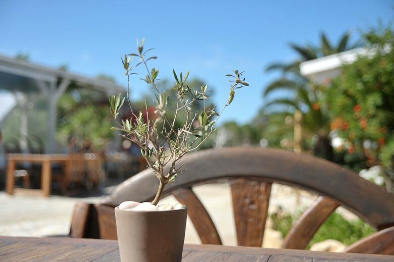Hotel Medusa Beach Resort And Suites