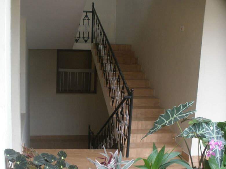 Hotel Jungle Palace Homestay