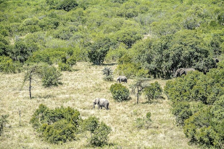 Posada Mutara Camp