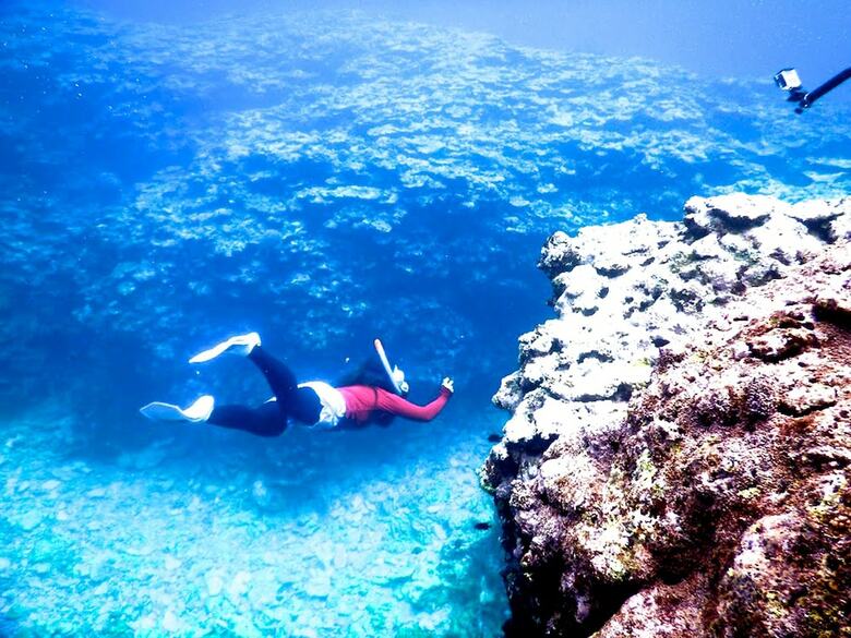 Hostal Guesthouse Ho Aloha - Hostel