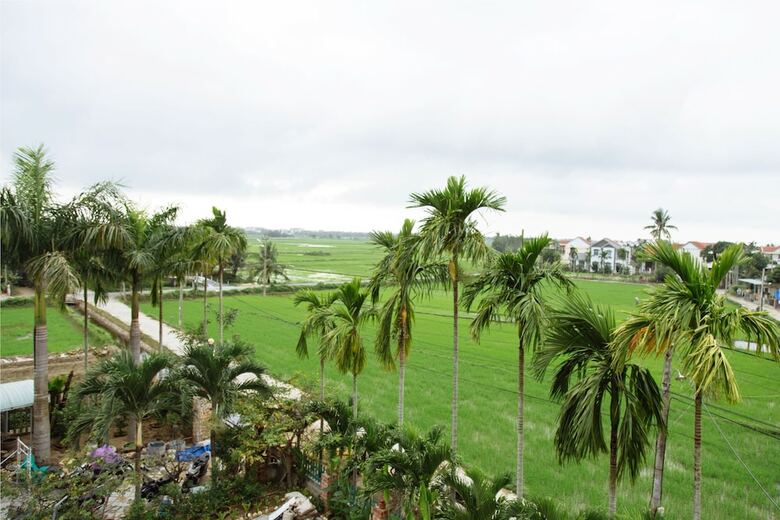Hotel Hoi An Golden Rice Villa