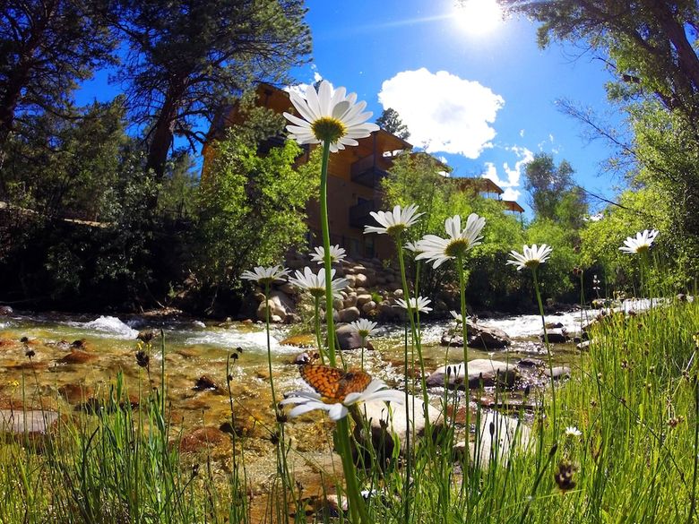 Apartamento Mount Princeton Hot Springs Resort