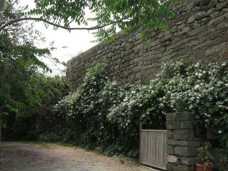 Apartamento La Casa Dei Fiori