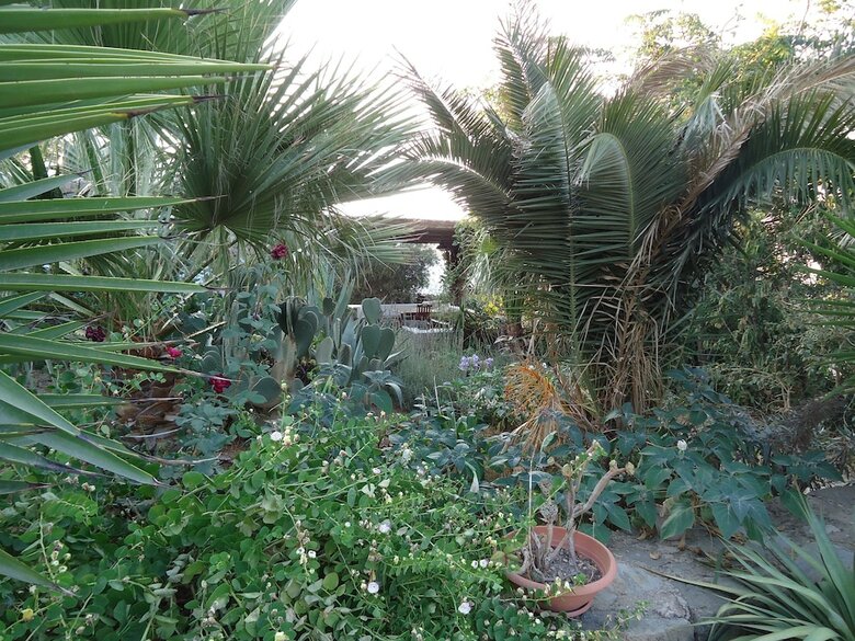 Apartamento La Casa Dei Fiori
