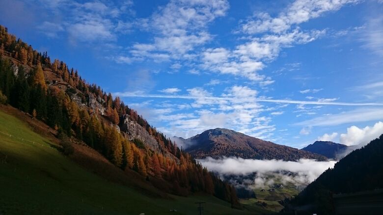 Ferienwohnungen Am Berg - Almh�tte Alfen