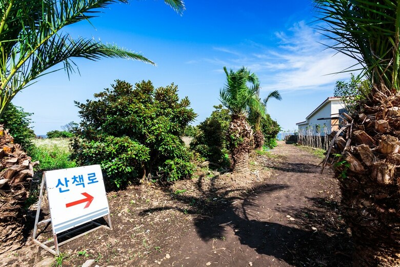 Pension Jeju Turning Point