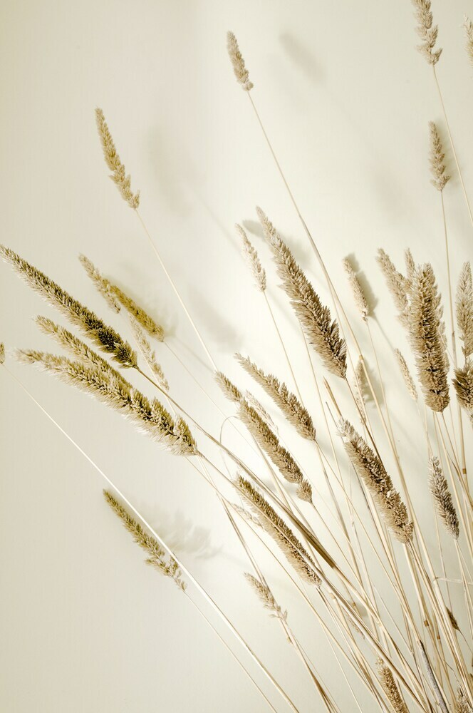 Lifetime Private Retreats