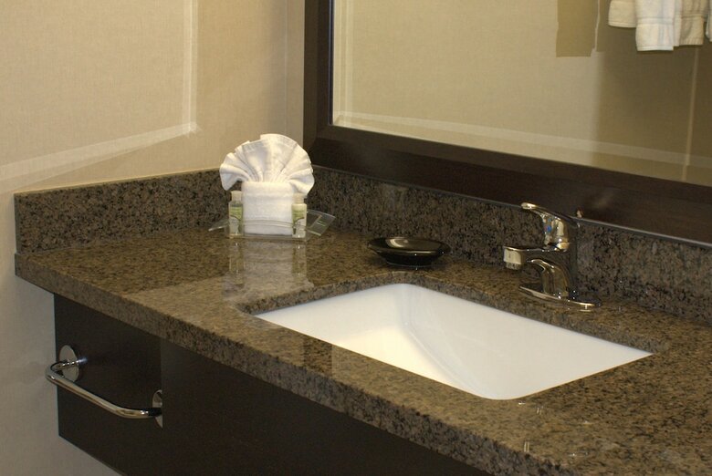 Hotel Holiday Inn Chicago - Elk Grove