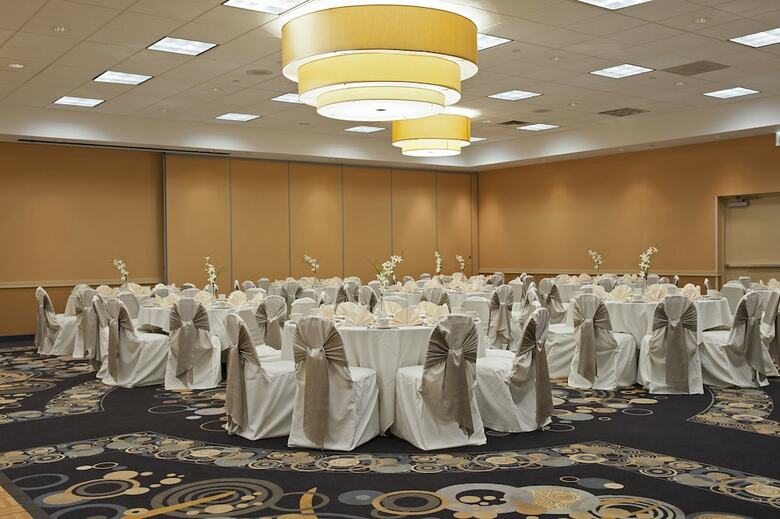 Hotel Holiday Inn Chicago - Elk Grove