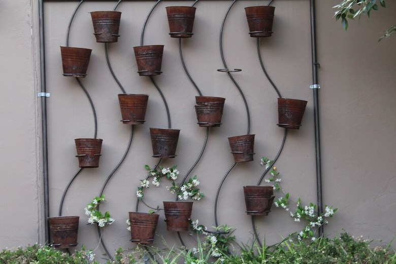 Hotel Cottonwood Guesthouse