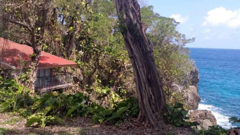 Hotel Frenchman's Cove Resort