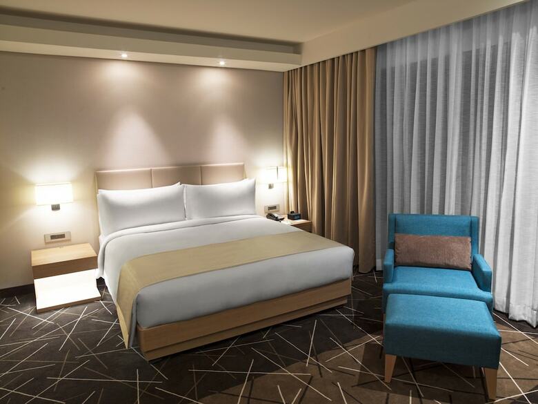 Hotel Holiday Inn Chennai Omr It Expressway
