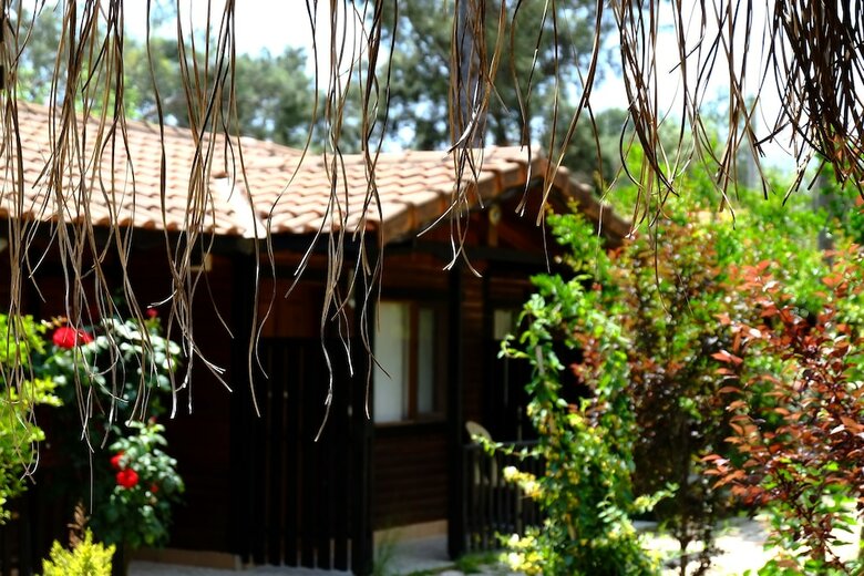 Hotel Koala Bungalows