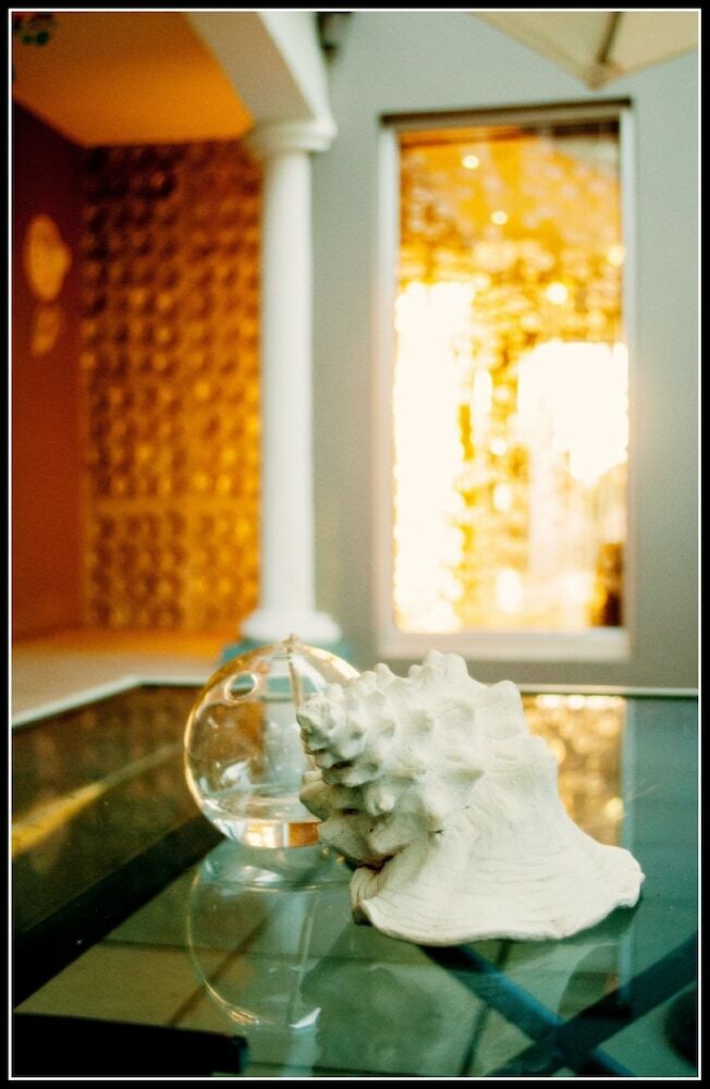 Hotel Cocomo Guesthouse, Spa And Conference Centre
