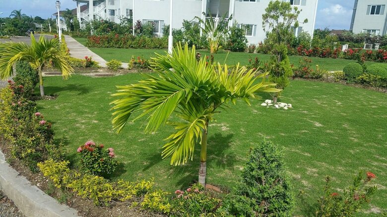 Fern Court Apartment With Oceanic View