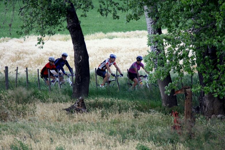 Agroturismo Surval Boutique Olive Estate