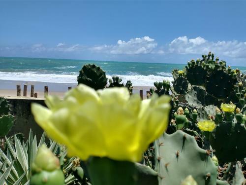Hostal S�tio Maleleo