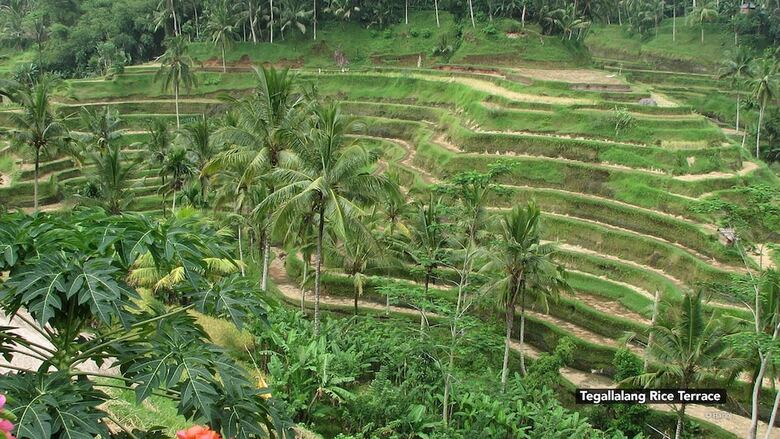 Hotel Zen Rooms Sriwedari Ubud 1