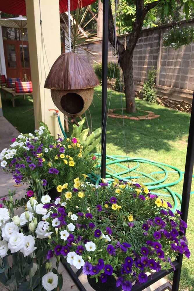 Hostal Planter's Hostel