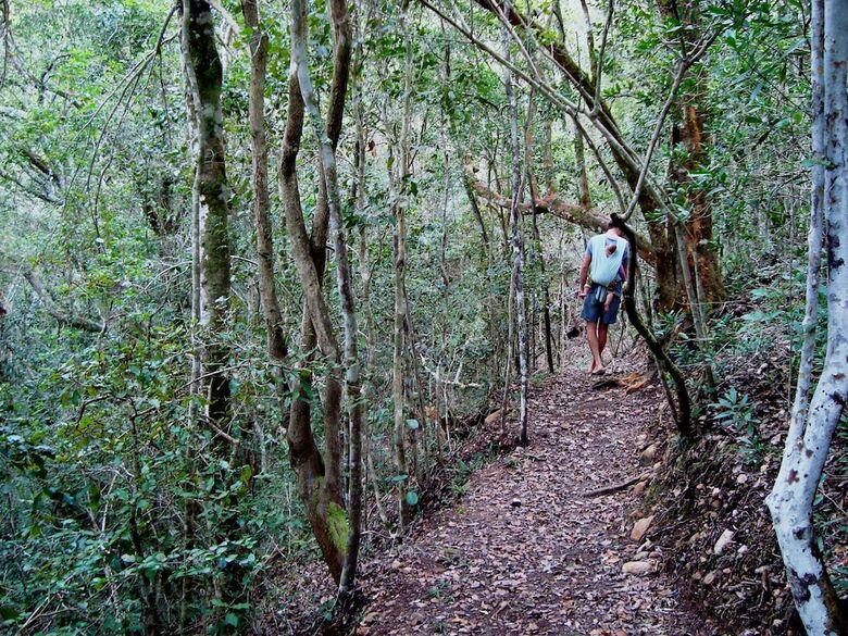 Apartamentos Woodlands Self Catering, Knysna
