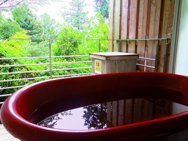 Hotel Hakone Gora Onsen Yumenoyu
