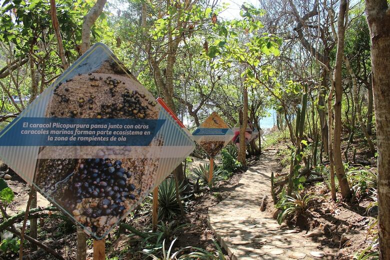 Hotel Isla Natura Beach Huatulco