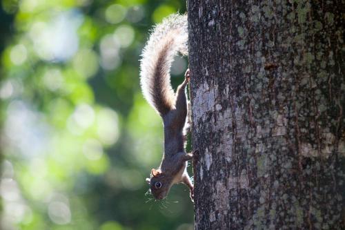Lodge Chacra Del Agua