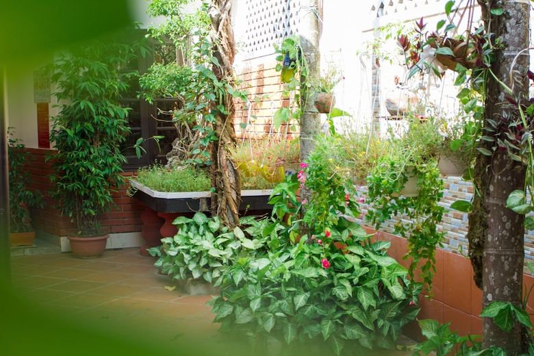 Bed & Breakfast Red Ceramics Homestay