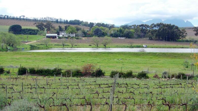 Bed & Breakfast Clos Malverne Wine Estate Accommodation