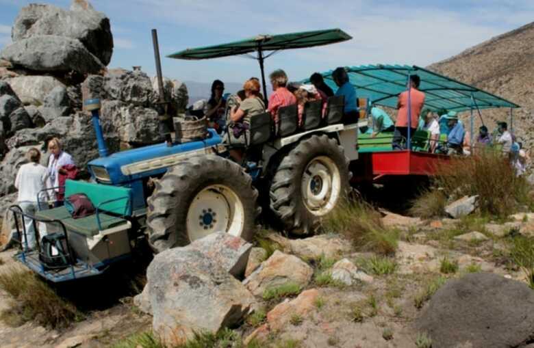Bed & Breakfast Koo Karoo Guest Lodge