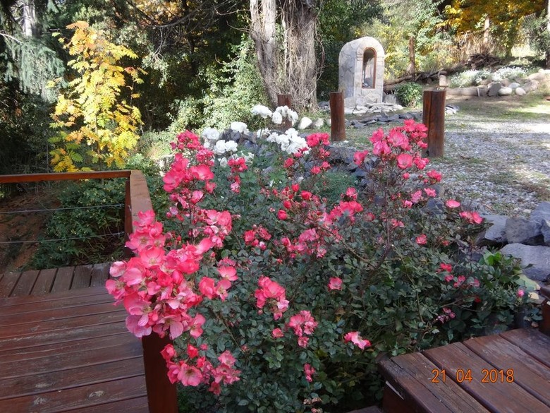 Lodge Maria Del Bosque Apart Hotel / Caba�as