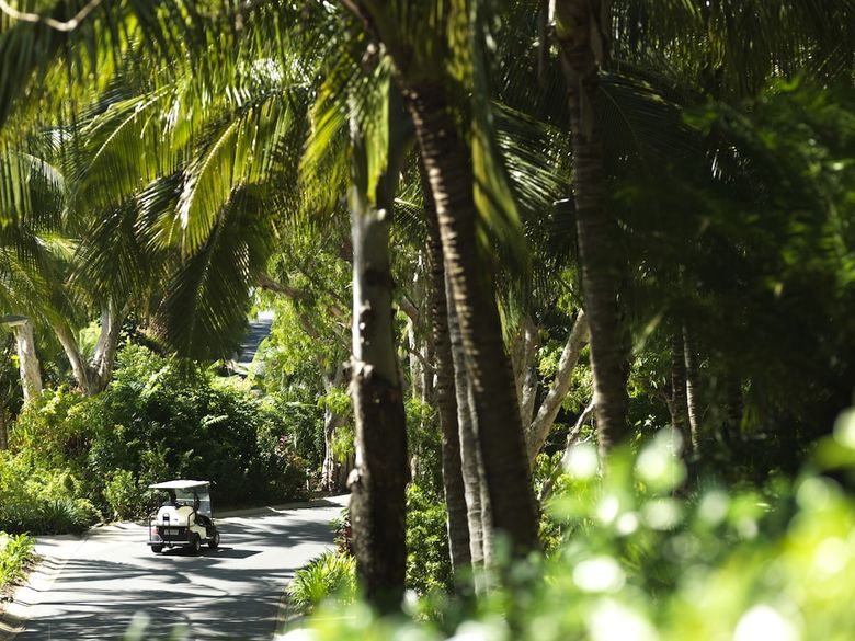 Apartamento Palm Bungalows