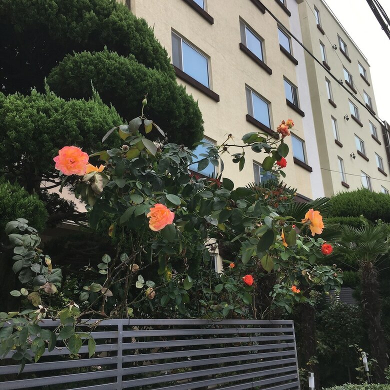 Charmant Hotel