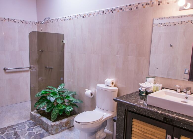 Arenal Manoa & Hot Springs Resort