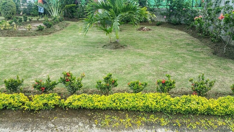 Fern Court Apartment With Oceanic View III