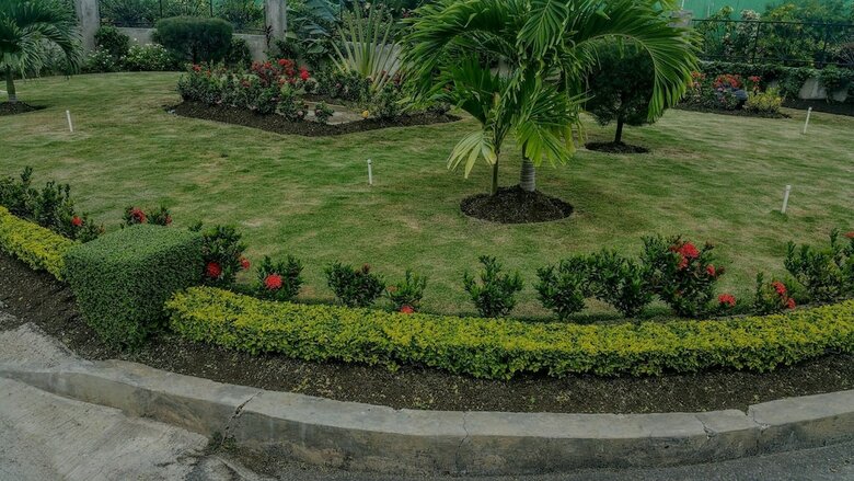 Fern Court Apartment With Oceanic View III