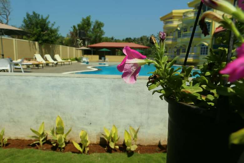 Apartamento Praia Da Oura - Boutique Resort