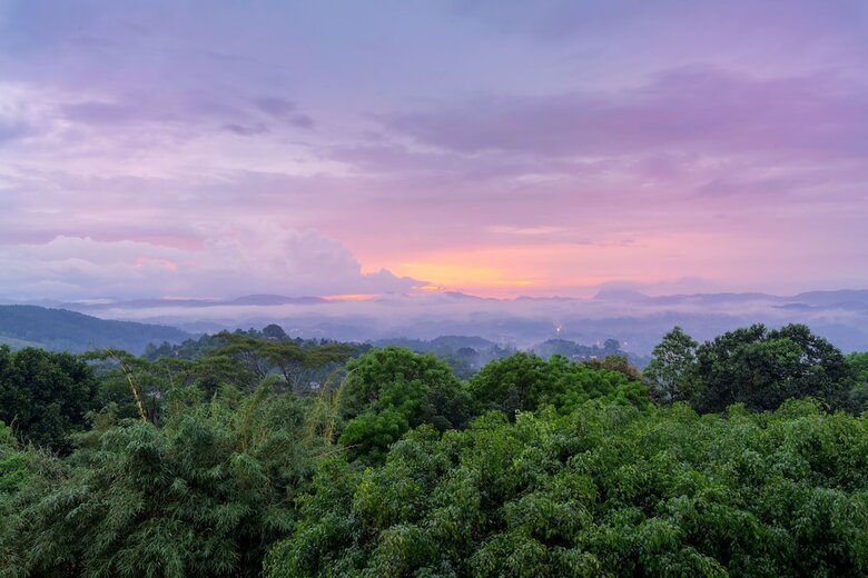 Hotel Amaya Hills