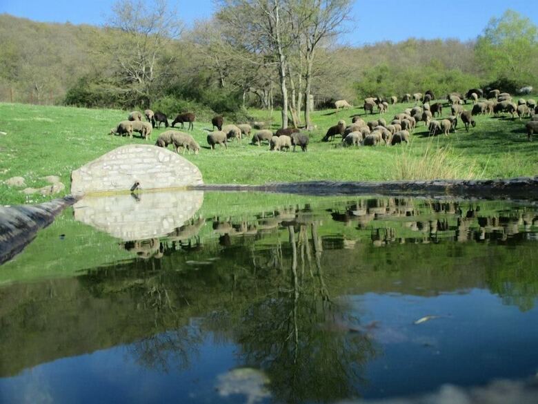 Agroturismo Masseria Salecchia