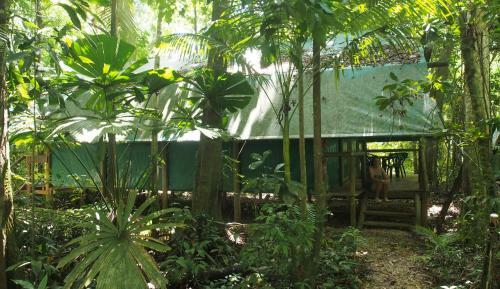 Lodge Daintree Crocodylus Village