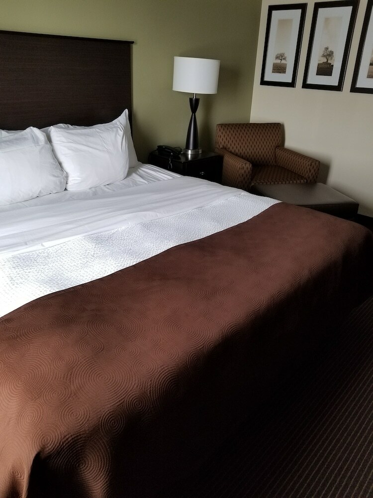 Hotel Americinn By Wyndham Dewitt