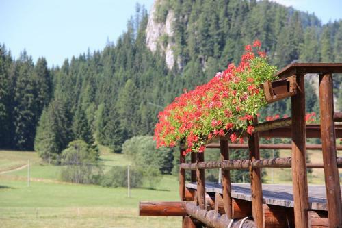 Hostal Penzi�n ?adov�
