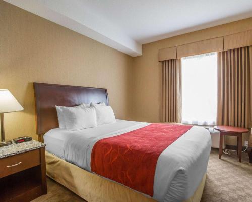 Motel Comfort Inn & Suites Airdrie